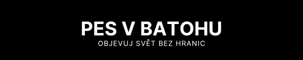 Pes v batohu bila